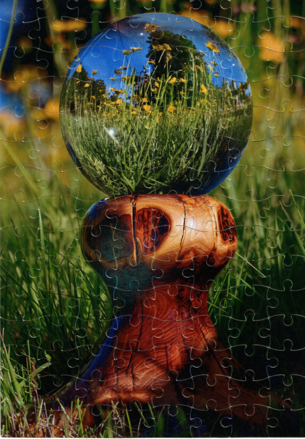 Crystal Ball with Yellow Wildflowers - Metal Print by Brad West Photography