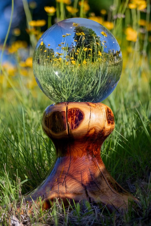 Crystal Ball with Yellow Wildflowers - Metal Print by Brad West Photography
