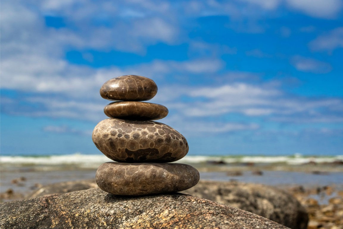 Zen Petoskey Stones - Metal Print by Brad West Photography