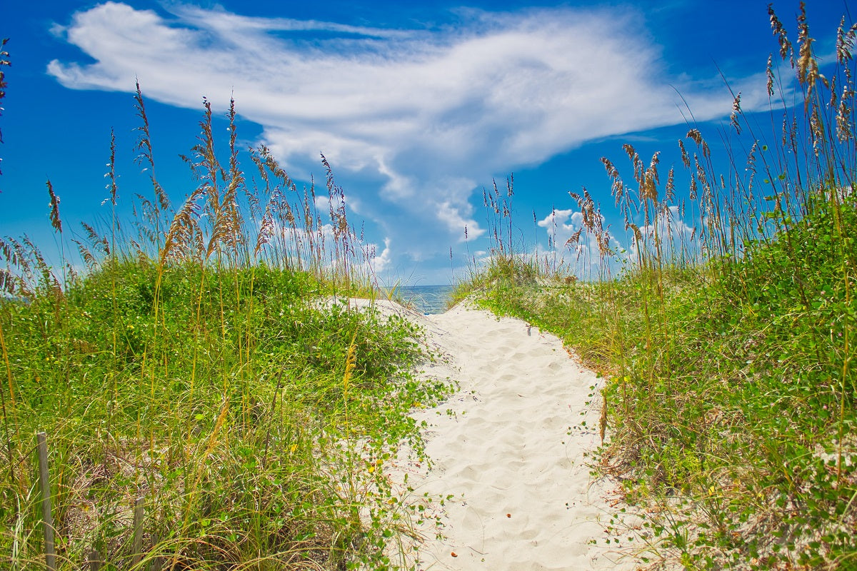 Dunes at Ocean Isle Beach, North Carolina - Metal Print