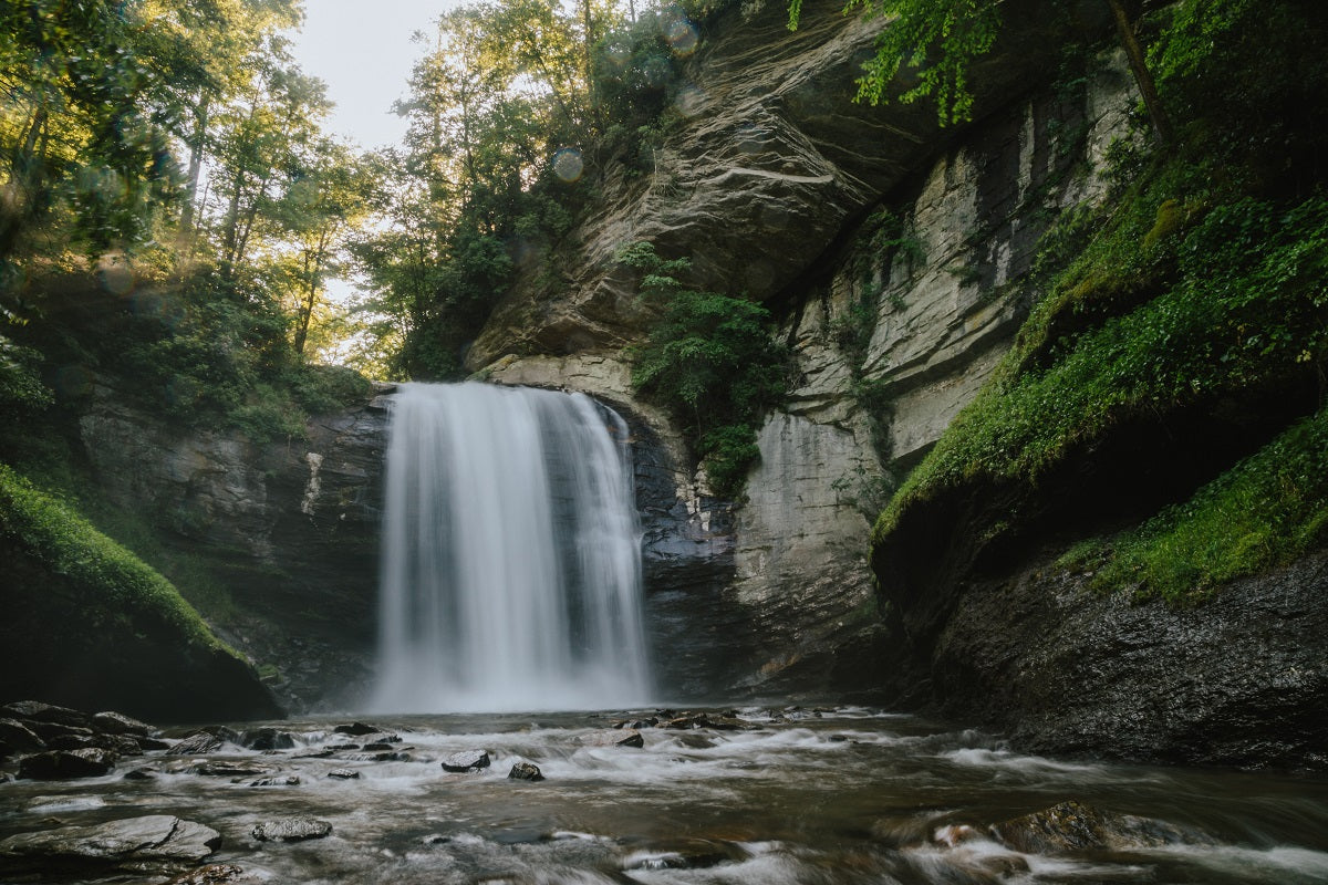 Looking Glass Falls - Metal Print