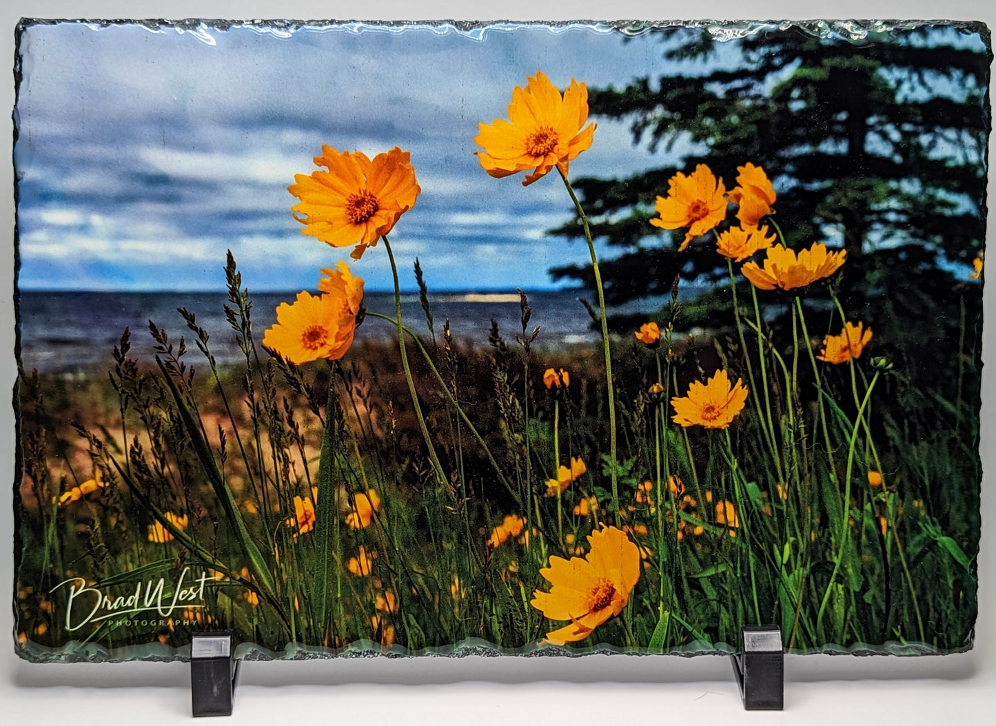Photo Slates featuring Brad West Photography