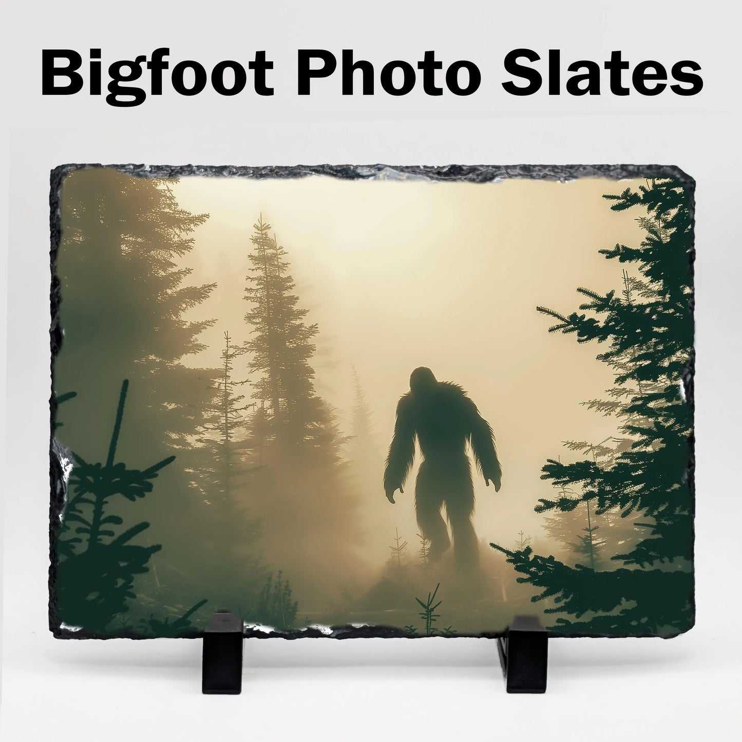 Bigfoot Stone Photo Slates