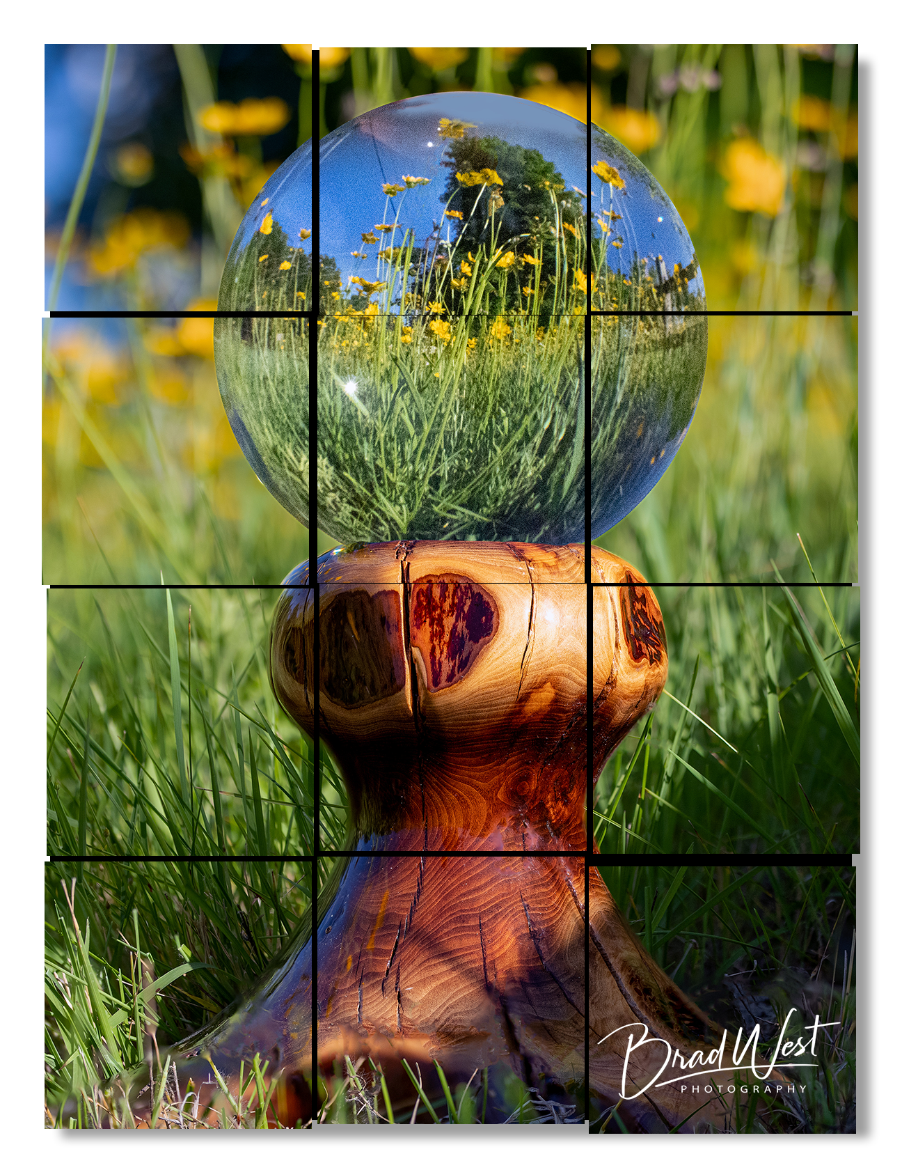 Crystal Ball in a Wildflower Meadow - Metal Prints & Photo Slates