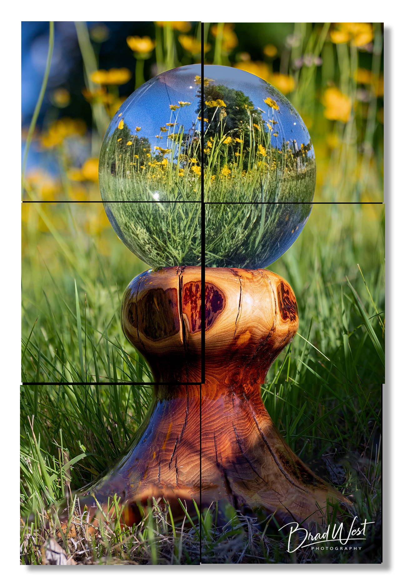 Crystal Ball in a Wildflower Meadow - Metal Prints & Photo Slates