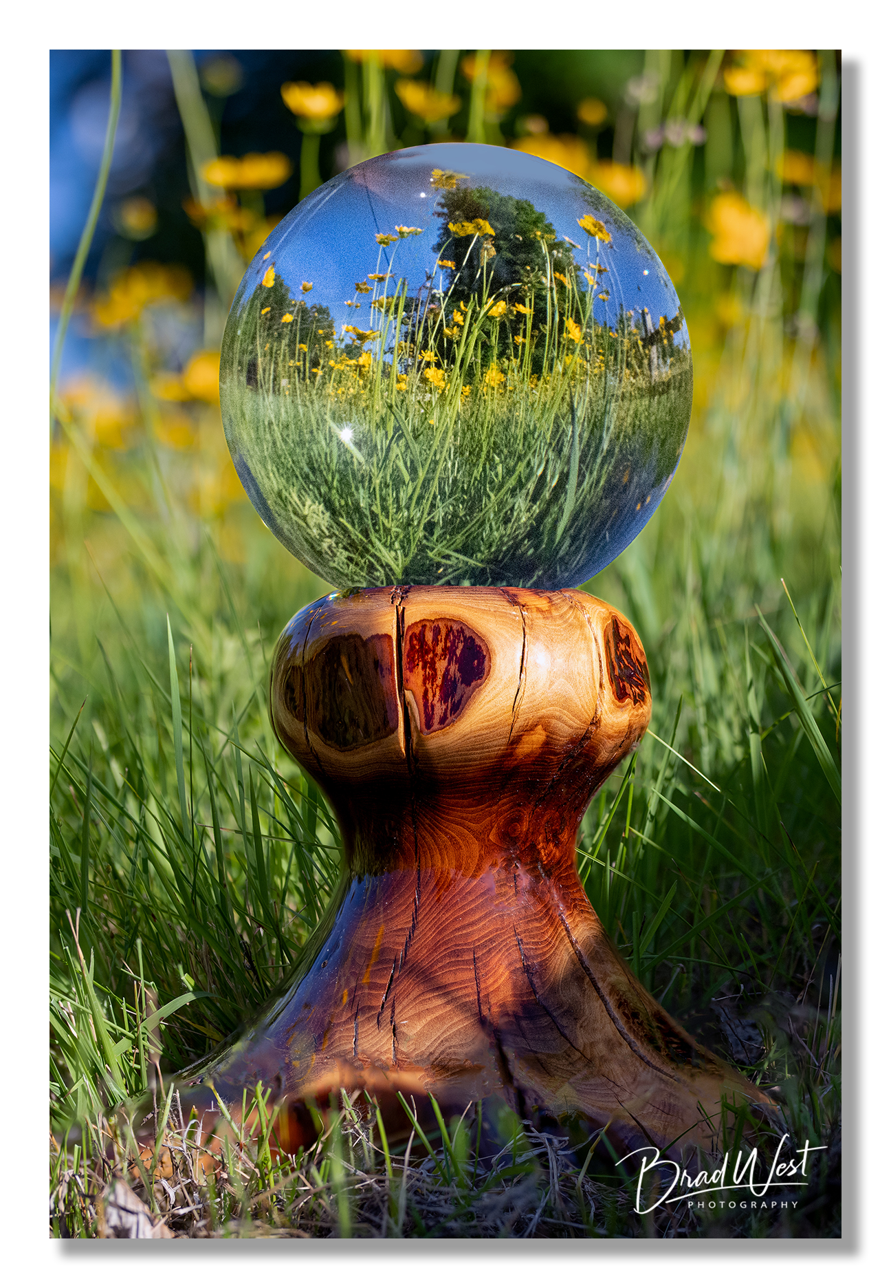 Crystal Ball in a Wildflower Meadow - Metal Prints & Photo Slates