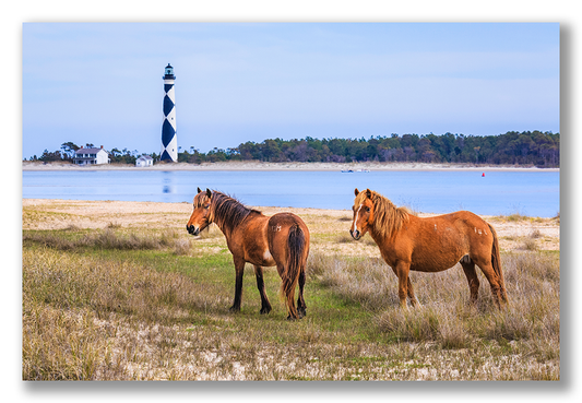 Cape Lookout Lighthous- Metal Prints & Photo Slates