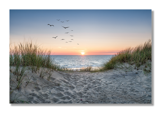 Sunrise over Beach Dunes - Metal Prints & Photo Slates