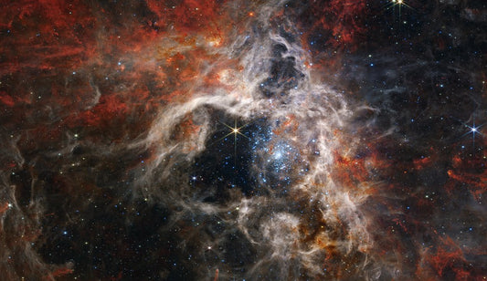 The Tarantula Nebula - Metal Print by James Webb Space Telescope